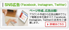 SNS広告(Facebook, Instagram, Twitter)