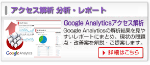 Google Analytics ANZX ́E|[gT[rX