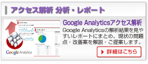 Google Analytics アクセス解析 分析・レポートサービス Google Analytics アクセス解析 分析・レポートサービス